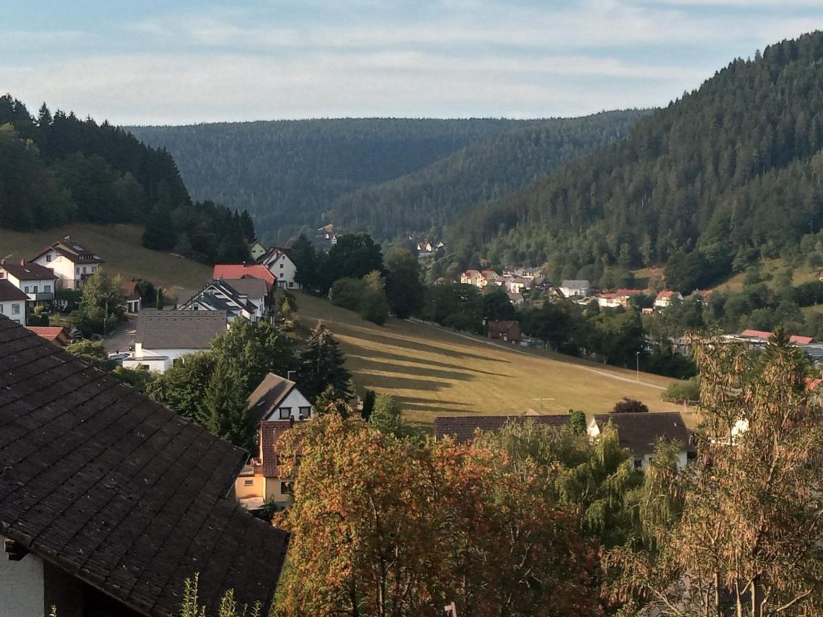 Apartamento Waldblick Baiersbronn Exterior foto